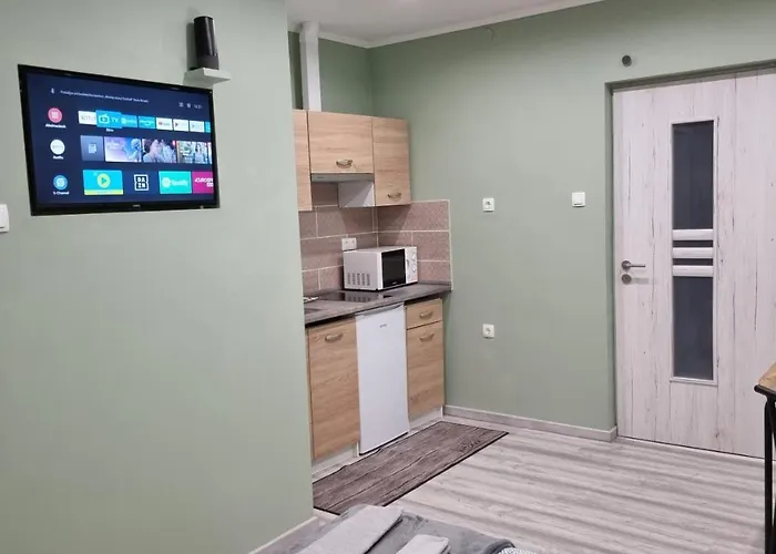 Belvarosi Pihenohaz Bichișciaba